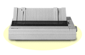 Epson ActionPrinter 2500 printing supplies